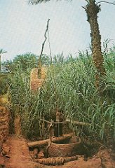 Sud-20-tirage eau du puits
